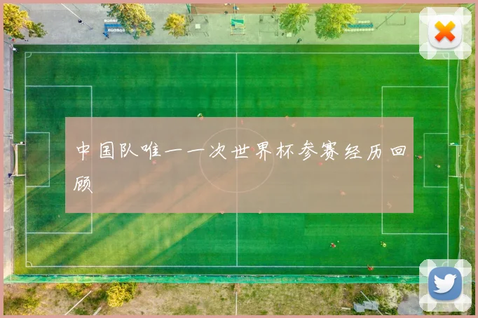 中国队唯一一次世界杯参赛经历回顾