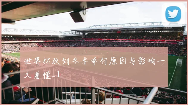 世界杯改到冬季举行原因与影响一文看懂_1