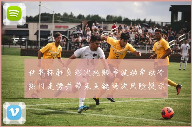 世界杯胜负彩次轮赔率波动牵动冷热门走势并带来关键场次风险提示