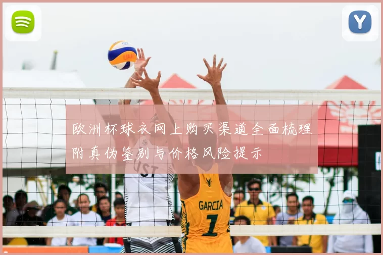 欧洲杯球衣网上购买渠道全面梳理附真伪鉴别与价格风险提示